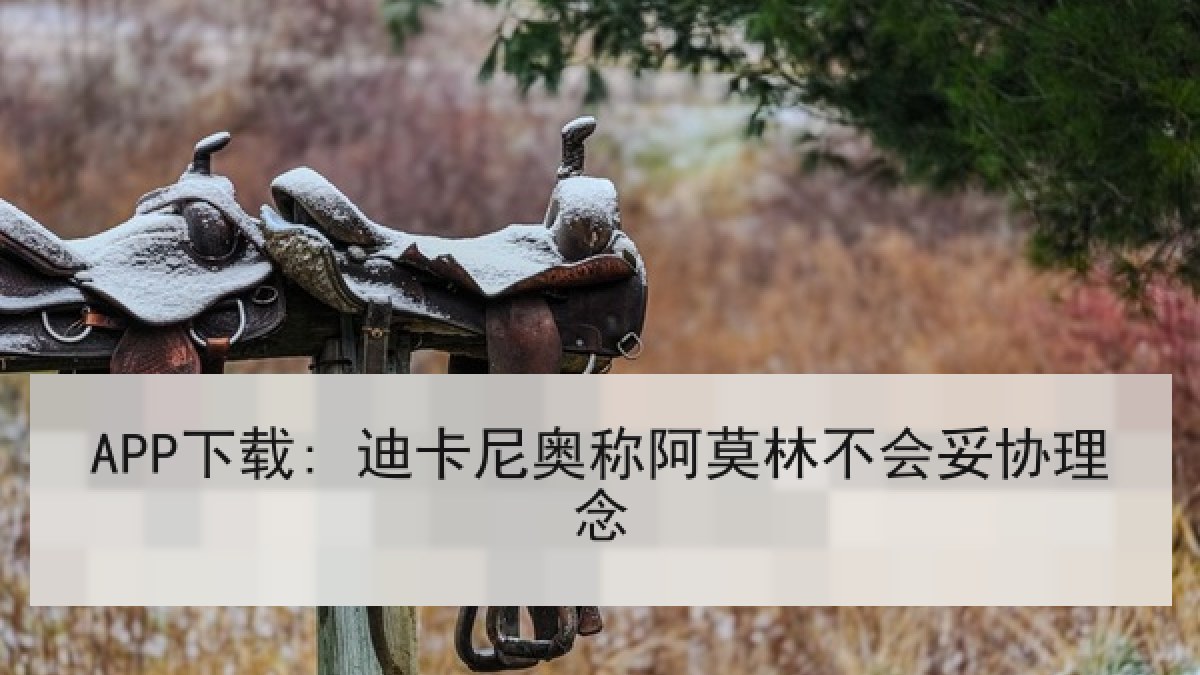 APP下载: 迪卡尼奥称阿莫林不会妥协理念 APP下载: 迪卡尼奥称阿莫林不会妥协理念